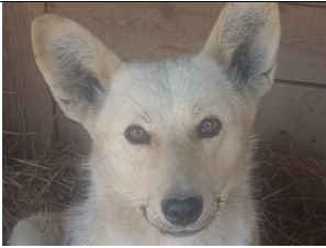 Screenshot 38